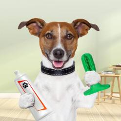 Köpek diş Fırçası Diş temizleme oyuncağı BÜYÜK BOY