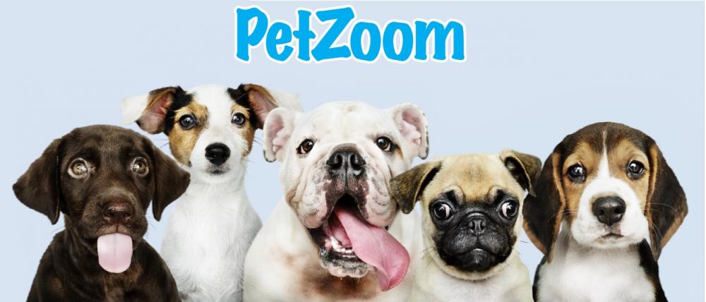 Petzoom 3 Katlı Kedi Oyuncağı Kedi Başlıklı